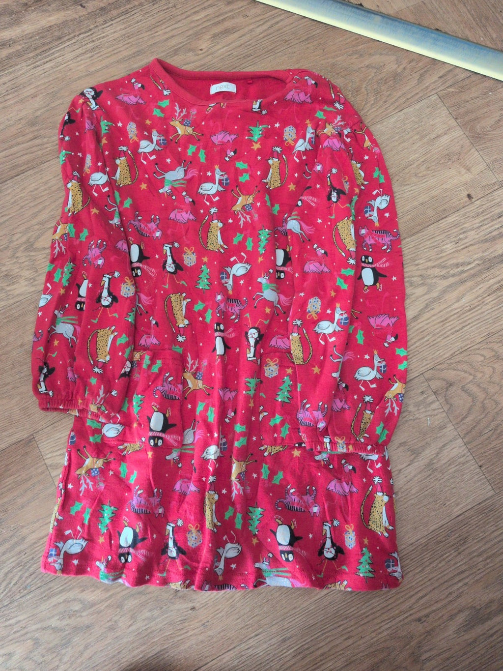 Next 7 Years Red Unicorn Penguin Dress
