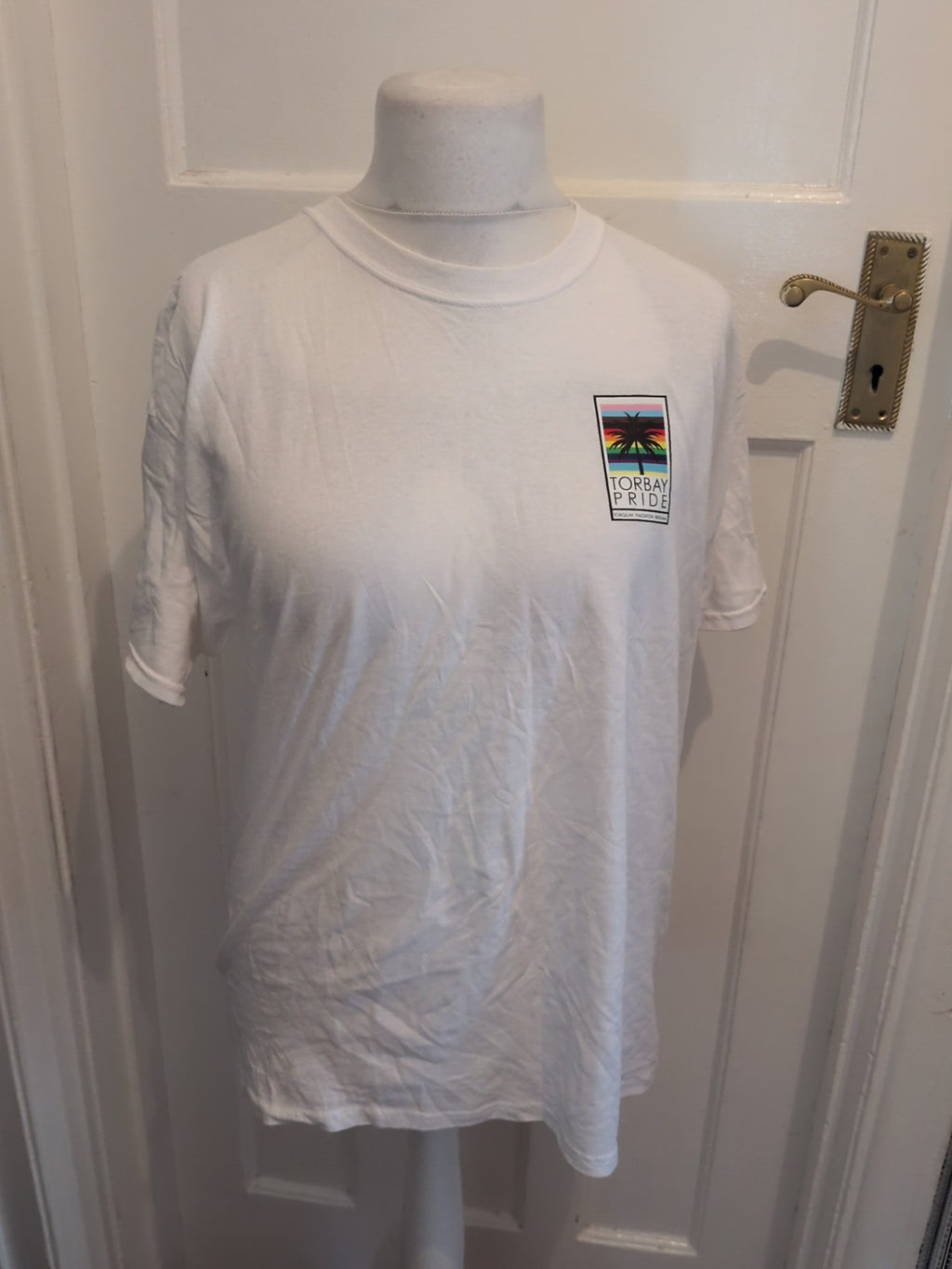 Fruit Of The Loom Large White Torbay Pride T-shirt