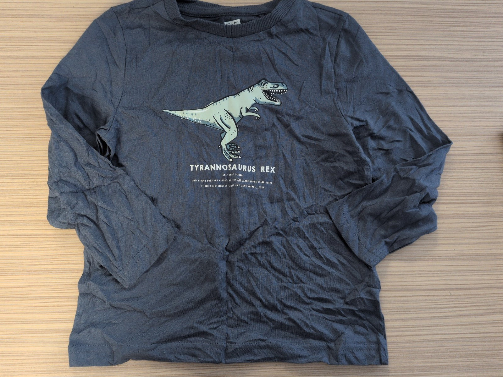 F&F 3-4 Years Rex Long Sleeve T-shirt